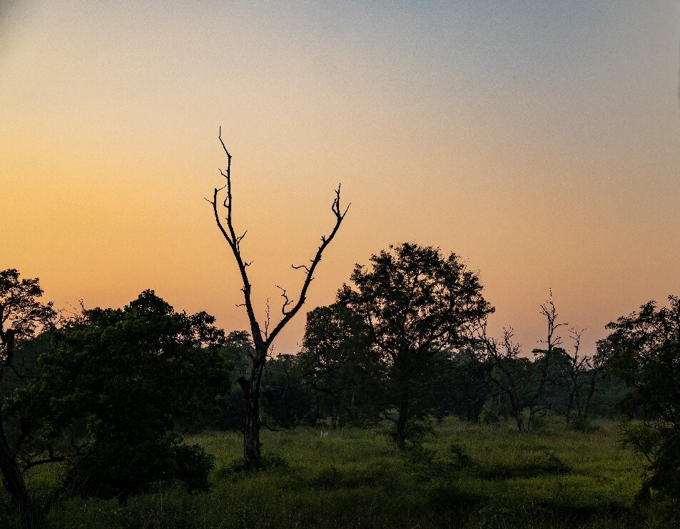 Bardia Homestay主图