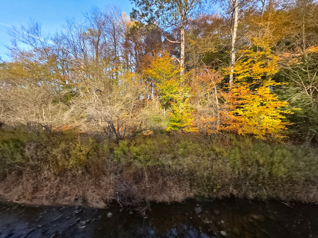 Arcade and Attica Railroad-Arcade必去景点