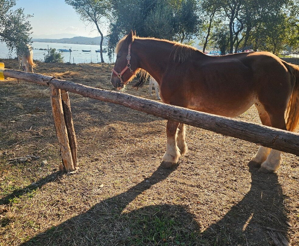 Acharavi Beach-Acharavi必去景点