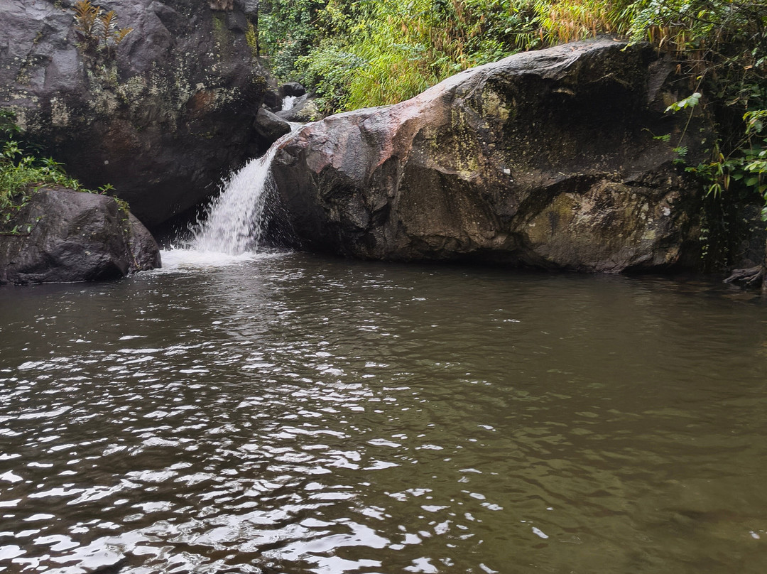 Stream Garden Mountain Resort主图