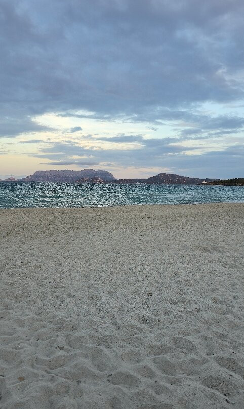 Spiaggia Pittulongu - La Playa-奥尔比亚必去景点