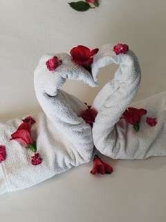 TUI Blue Scheherazade主图