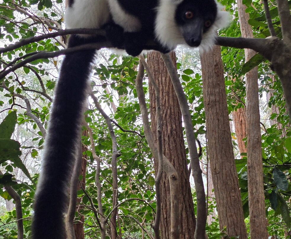 GMT+3 Great Madagascar Tours - Day Tours-安塔那那利佛必去景点
