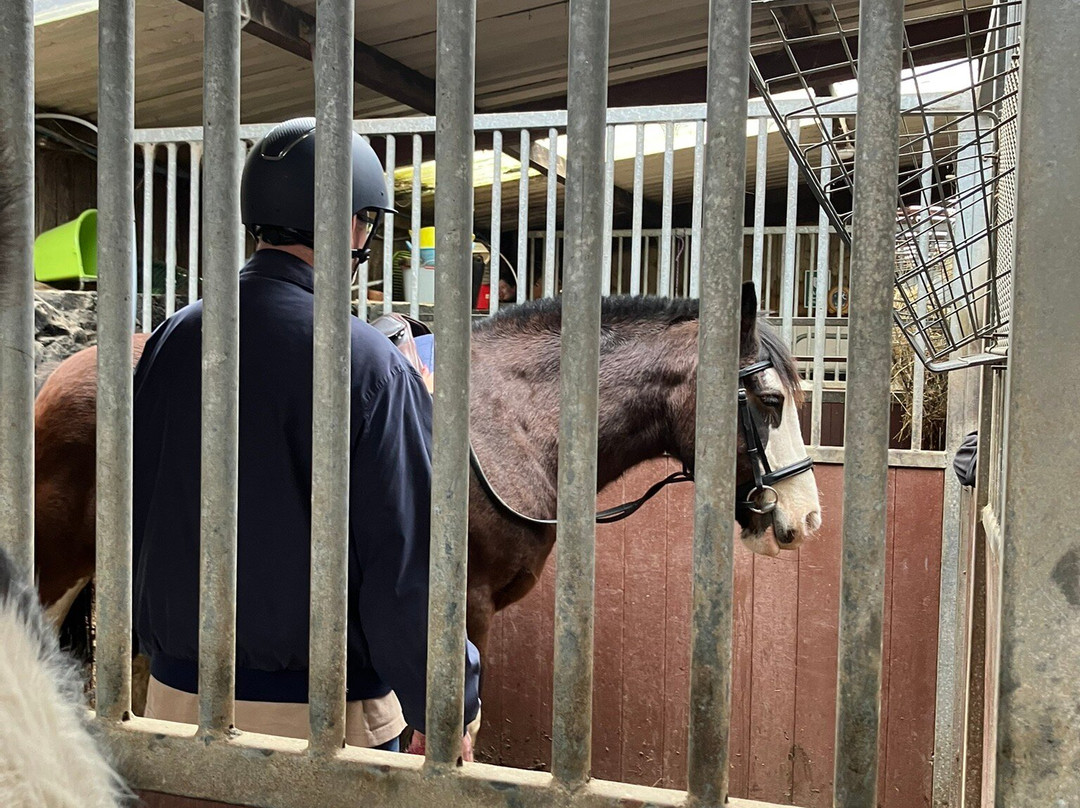 Crindle Stables-Limavady必去景点