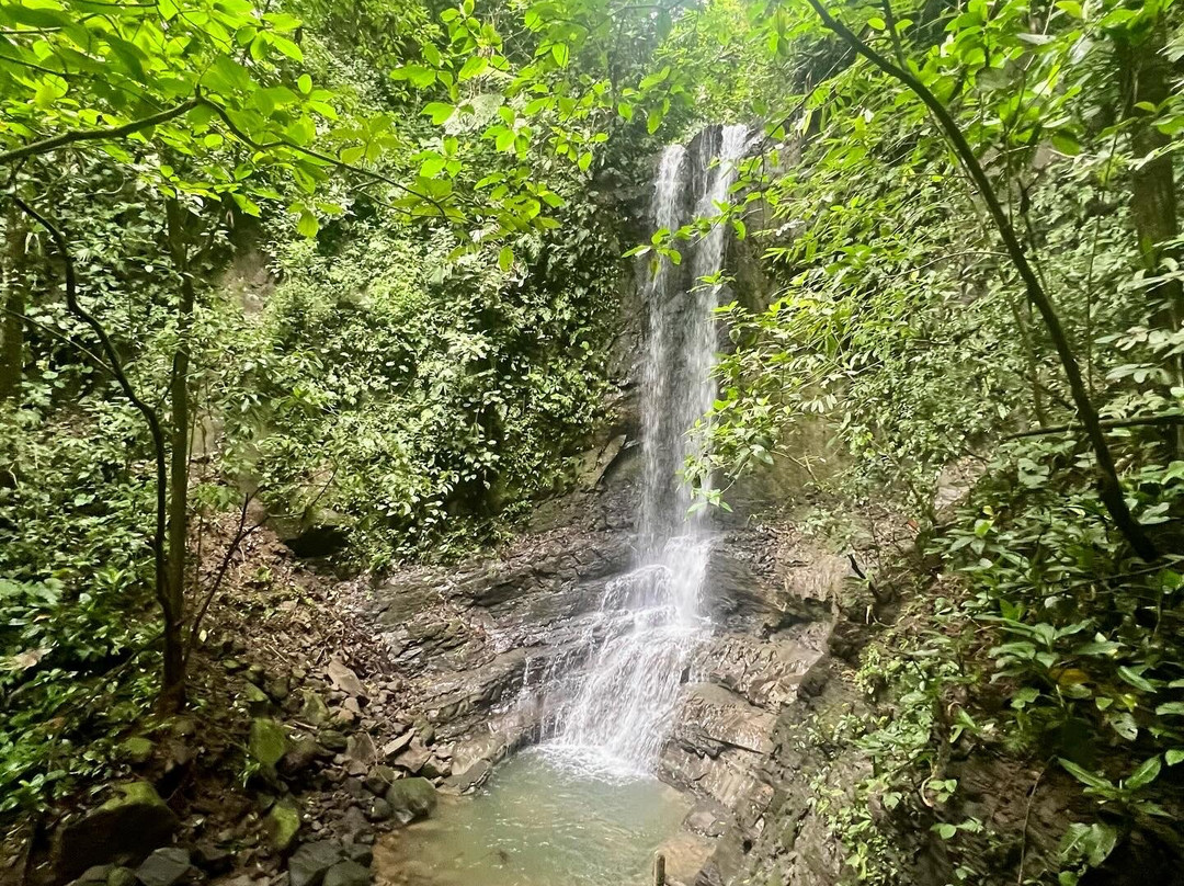 Surf With Amigas - Costa Rica-果菲托必去景点