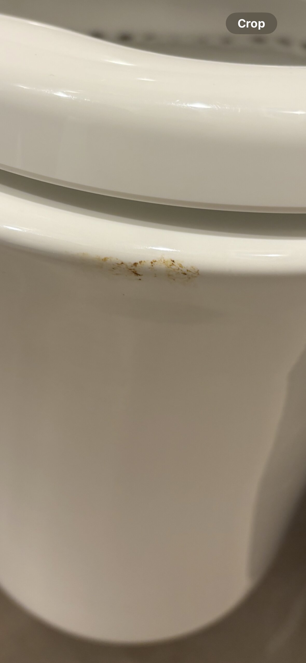 大开曼岛万豪海滩度假村-官方