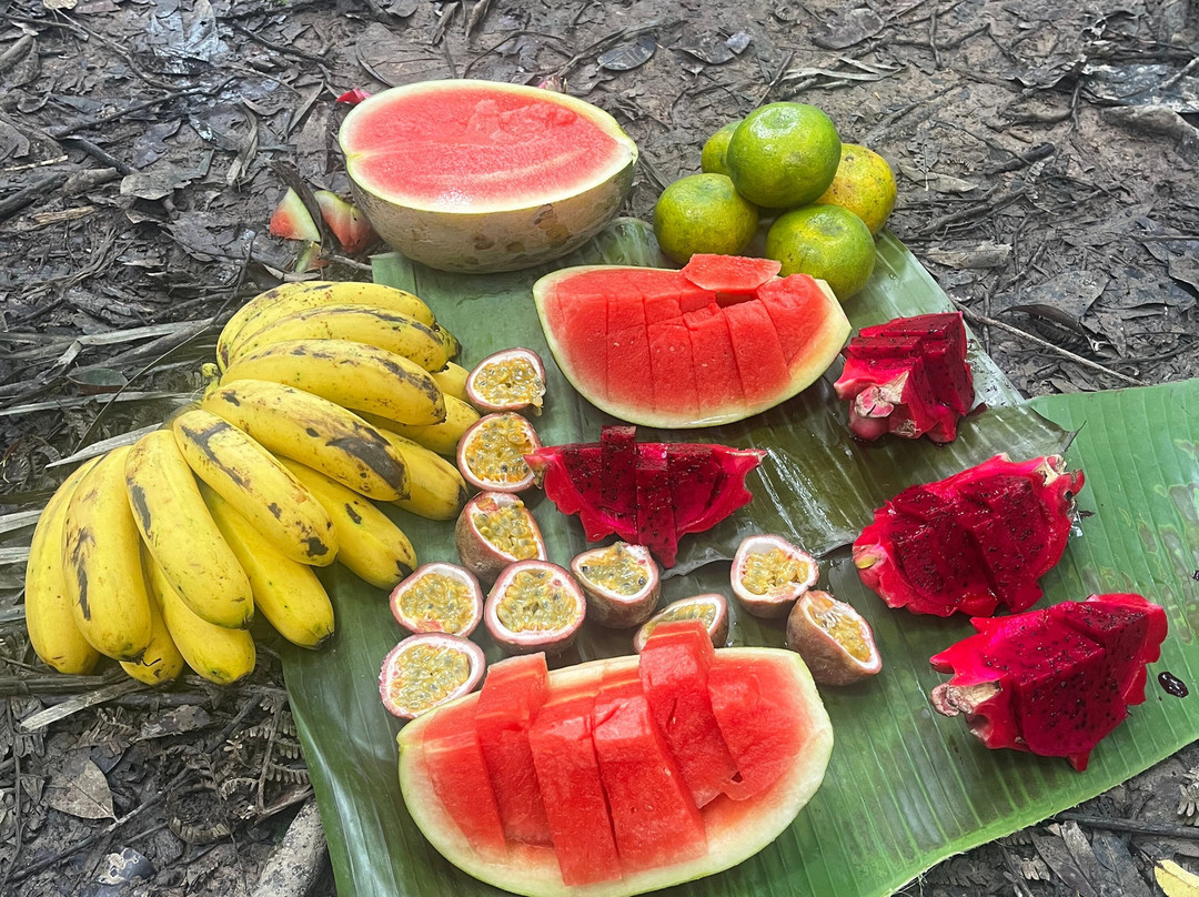 Bukit Lawang Trekking-武吉拉旺必去景点