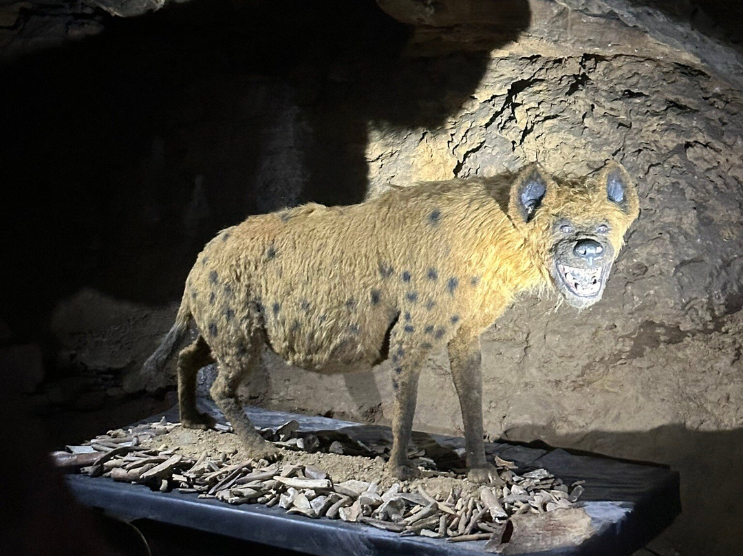 Heinrichshöhle-Hemer必去景点