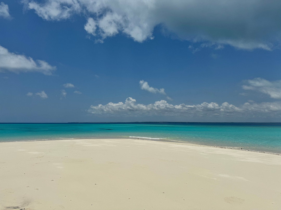 Dive Planet Mafia Island-Utende必去景点