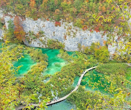 Octopus Transfers-扎达尔必去景点