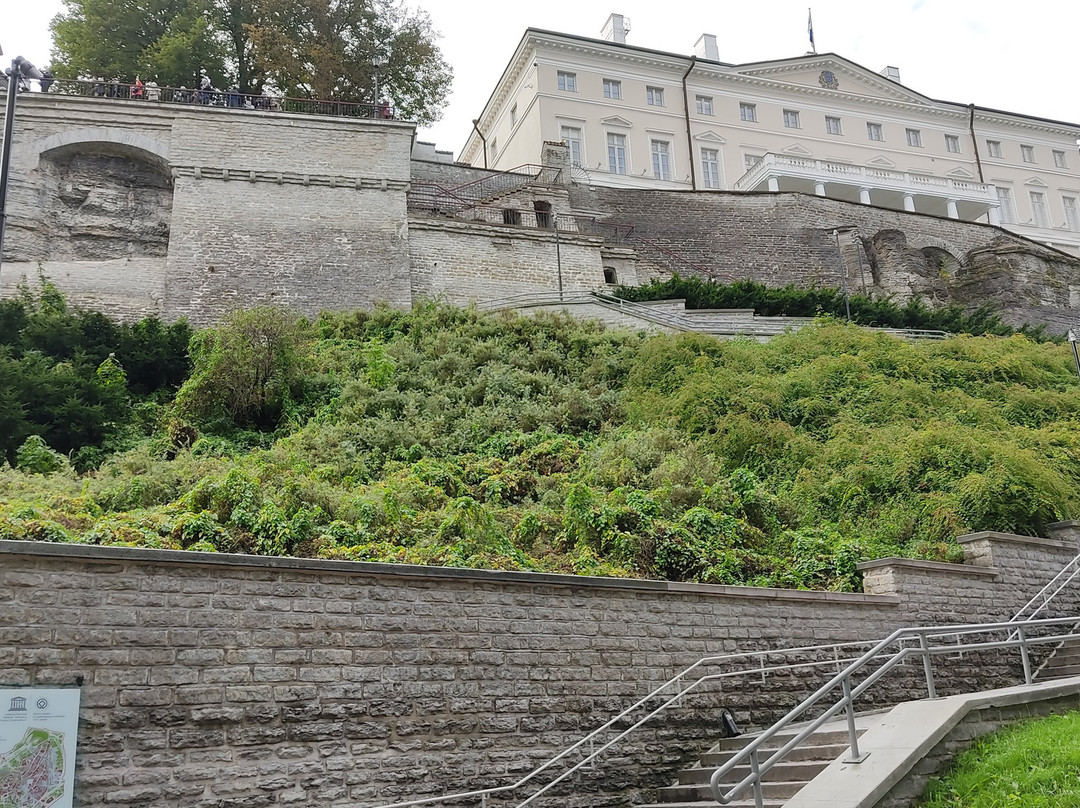 Patkuli Viewing Platform-塔林必去景点