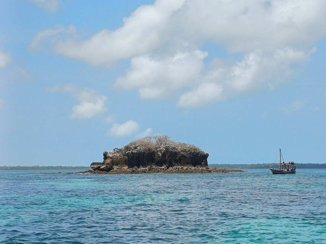 Safari Shwari Mafia Island-Utende必去景点