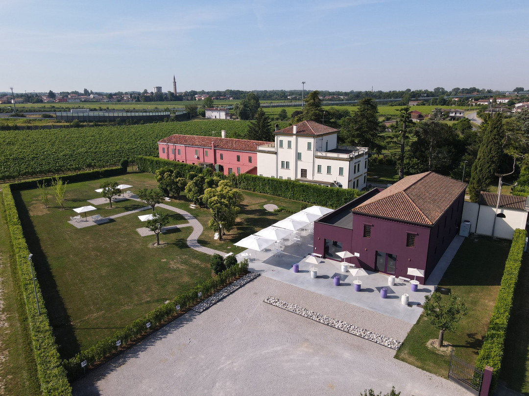 Suttowine Noventa-诺文塔迪皮亚韦必去景点