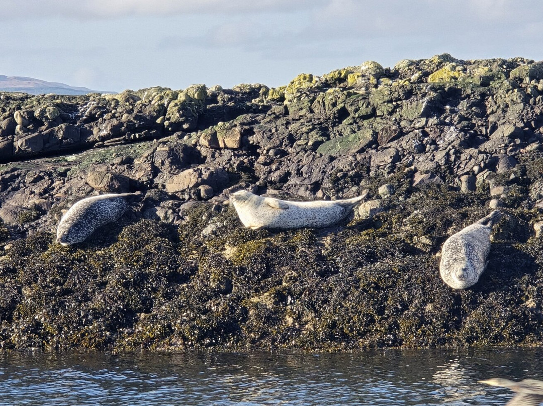 Argyll-Sea Tours-奥本必去景点