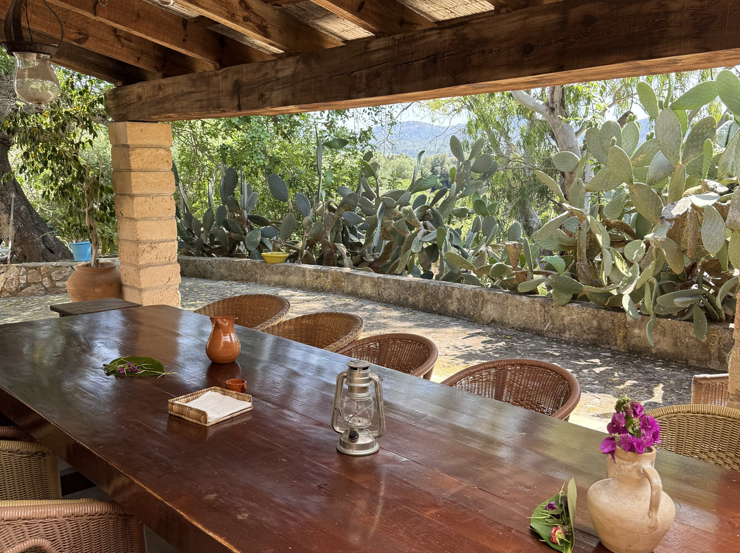 The Yoga Concept-克里斯托港必去景点