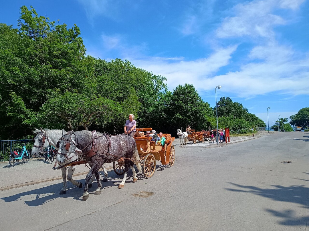 Café Parforce-卡拉姆堡必去景点