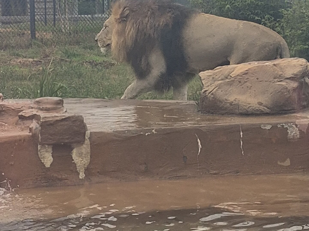Alabama Gulf Coast Zoo-格尔夫海岸必去景点