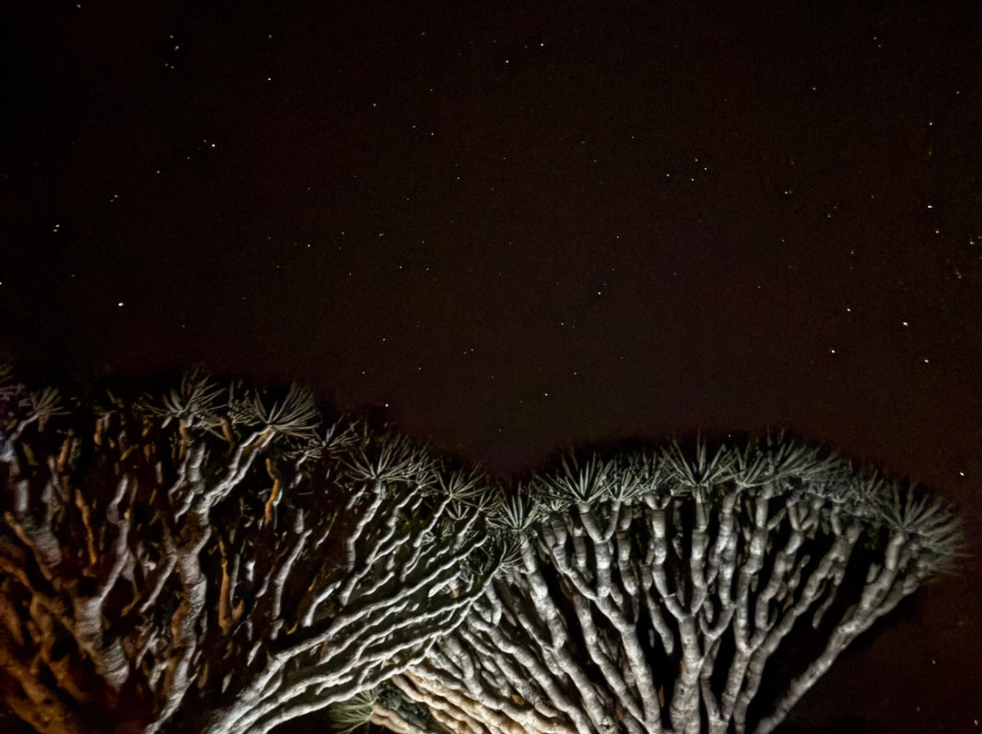 Socotra Safari Tours-Hadiboh必去景点