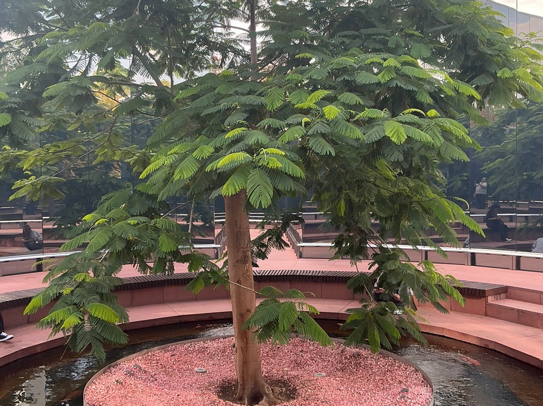 Galitskogo Park-克拉斯诺达尔必去景点