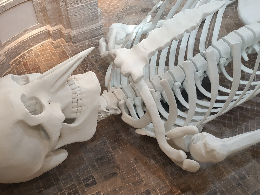 Calamita Cosmica - Centro Italiano Arte Contemporanea-福利尼奥必去景点