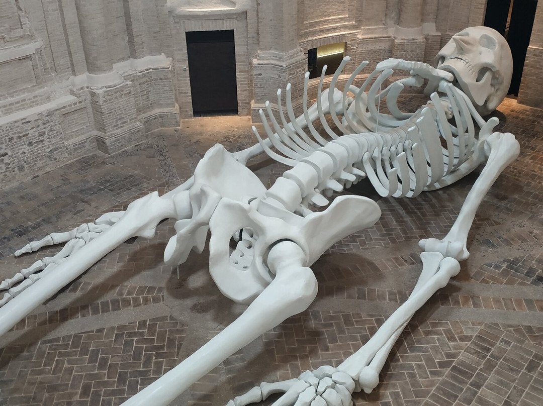 Calamita Cosmica - Centro Italiano Arte Contemporanea-福利尼奥必去景点