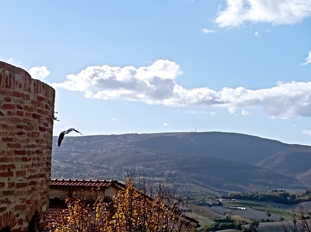 Relais del Borgo Hotel & Spa主图