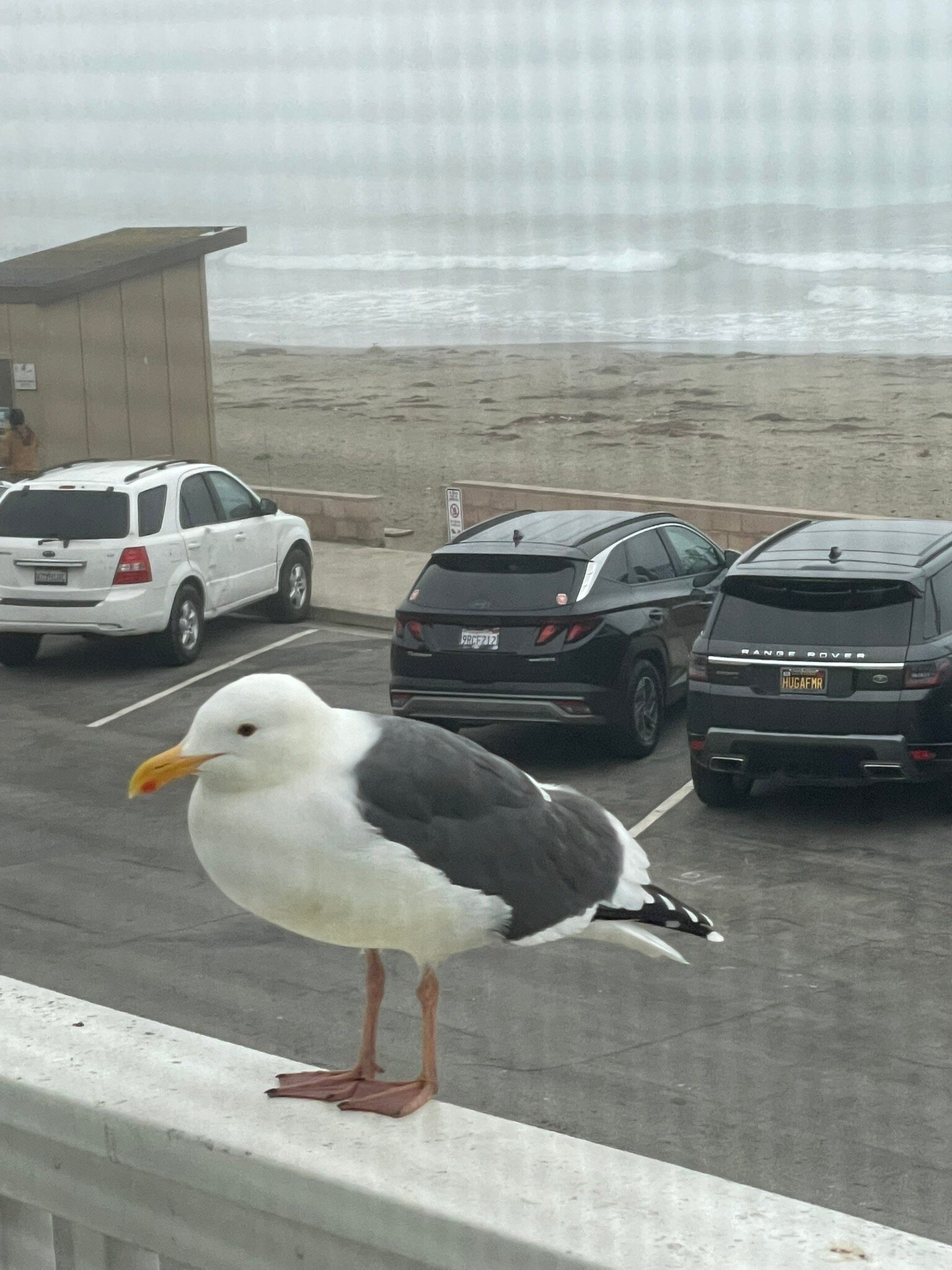 On The Beach Bed & Breakfast-官方