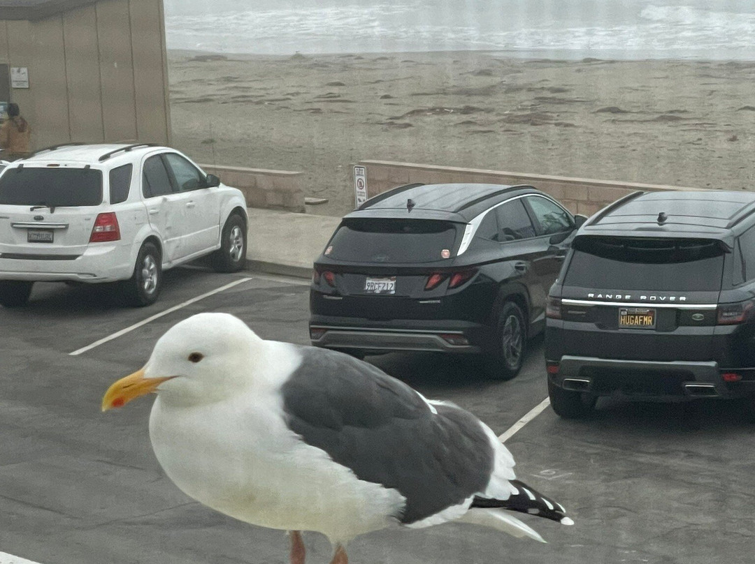 On The Beach Bed & Breakfast主图