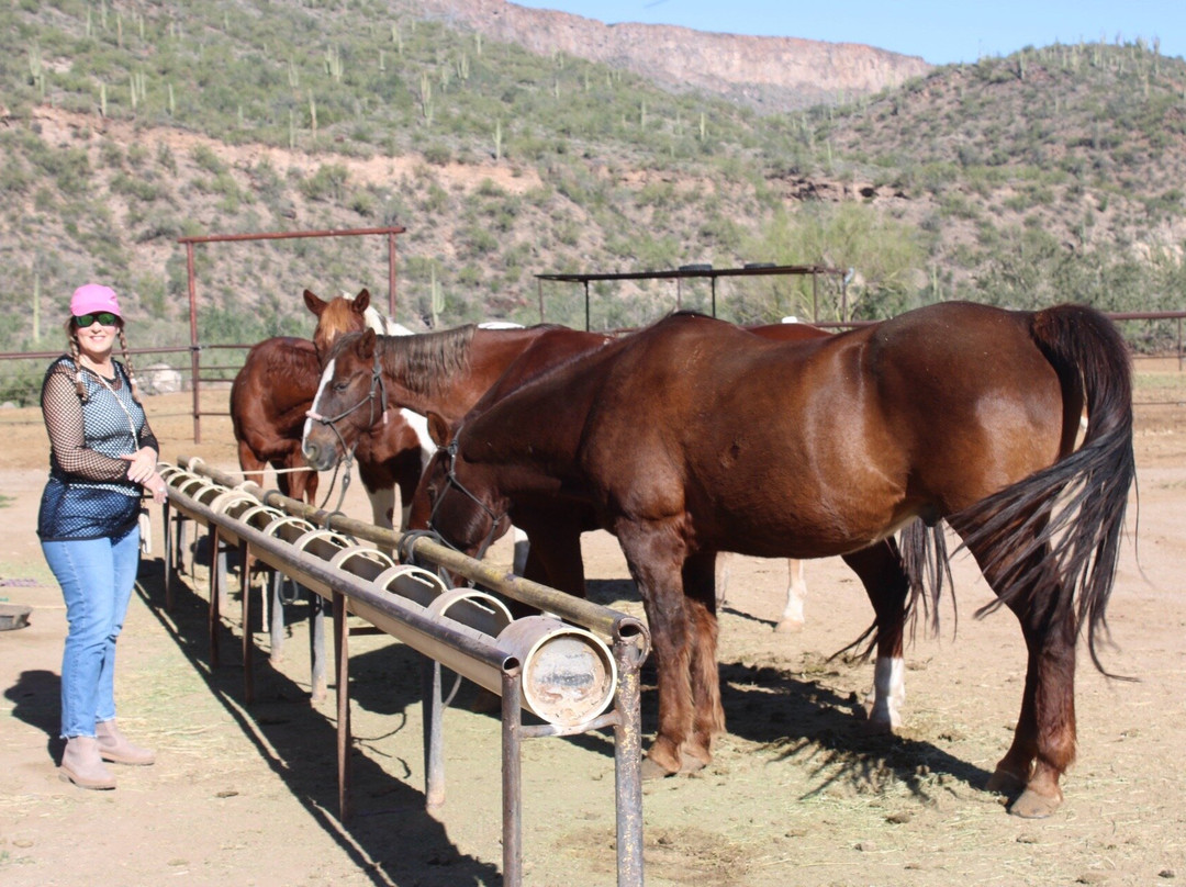 Western Destinations Canyon Creek Ranch - Tours-凤凰城必去景点