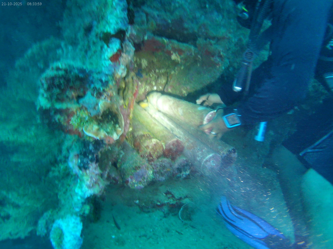 Pacific Dive-卢甘维尔必去景点