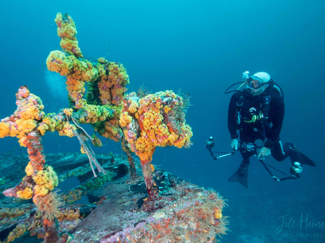 Dive Grenada-Grand Anse必去景点
