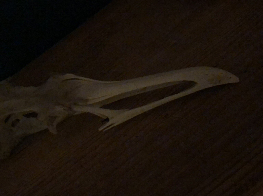 Ballintoy Harbour-Ballintoy必去景点