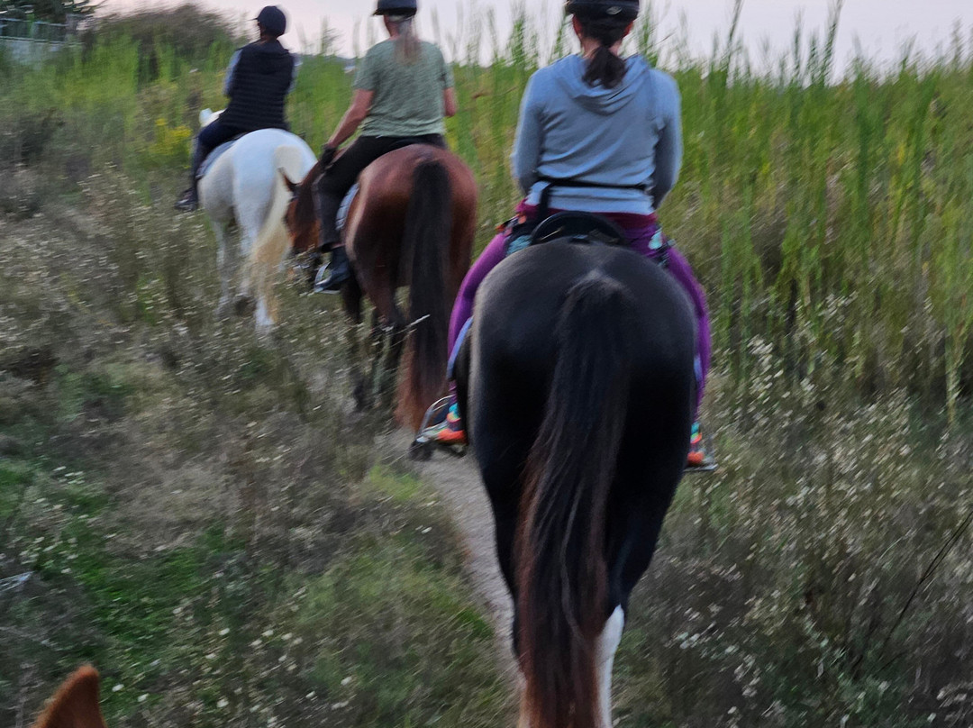 Salt Lake Stables-Marmari必去景点