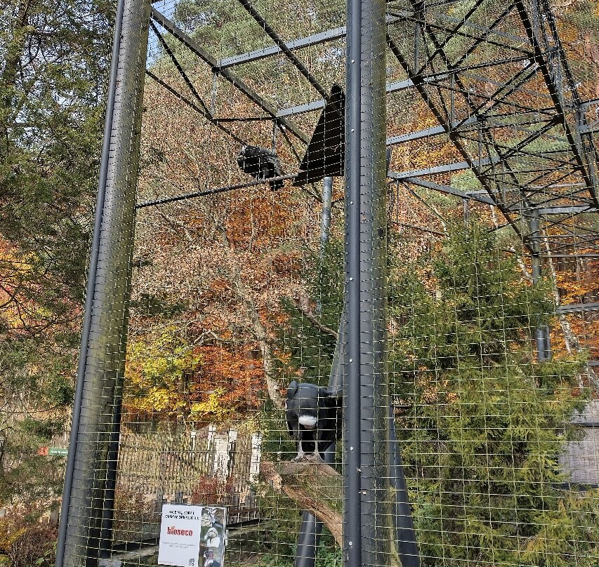 Oliwa Zoo-格但斯克必去景点