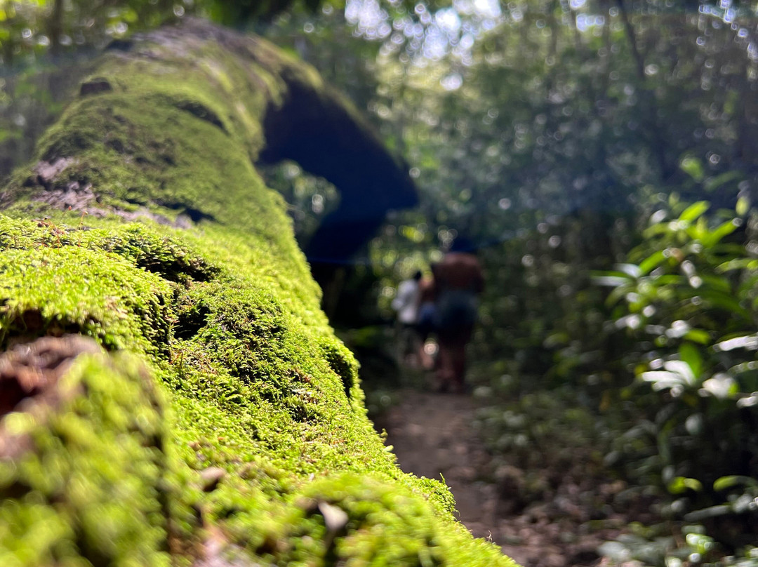 Museo Indigena Ancestral-Minca必去景点