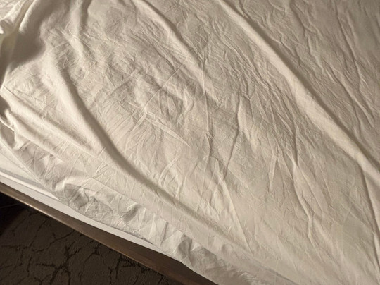 萨凡纳河畔万豪酒店主图