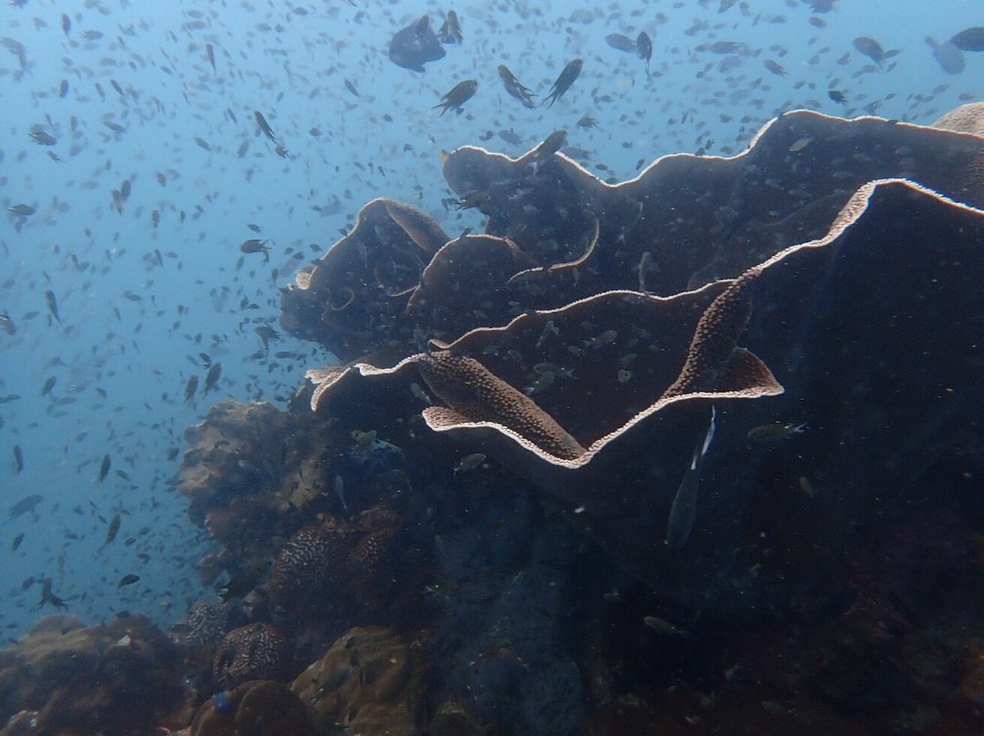 Koh Chang Divers-象岛必去景点