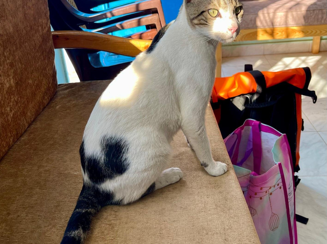 Freedom Divers Safaga-Port Safaga必去景点