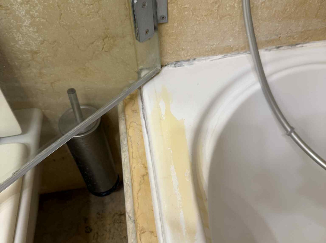 罗曼诺宫豪华酒店主图