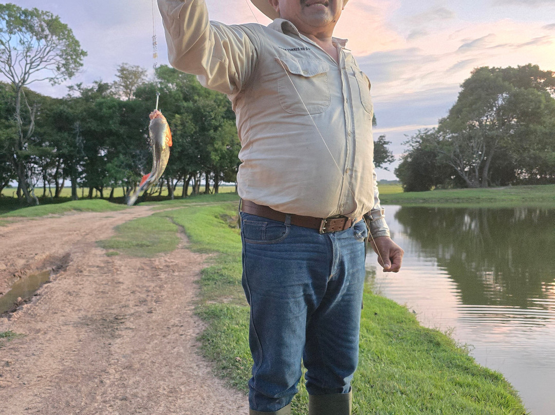 Cunaguaro Travel-Yopal必去景点