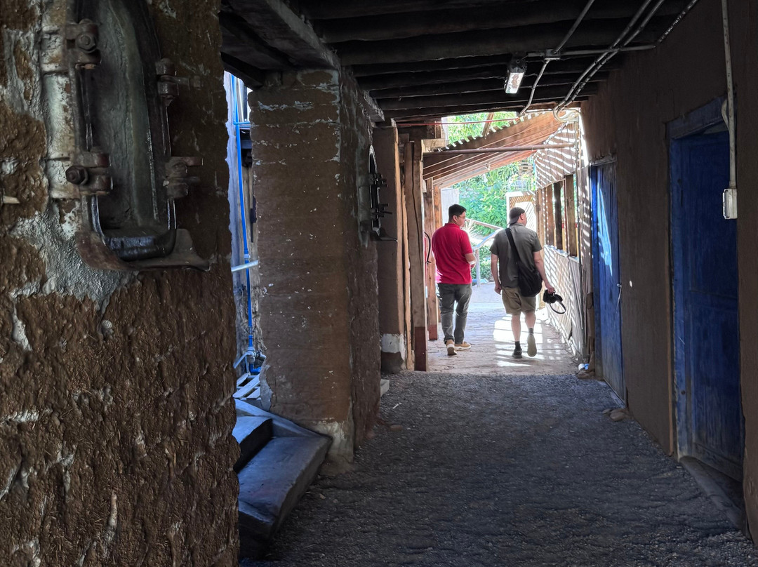 Fundo Los Nichos-Pisco Elqui必去景点