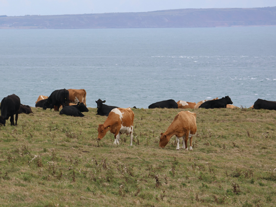 Alderney Coastal Path-Alderney必去景点