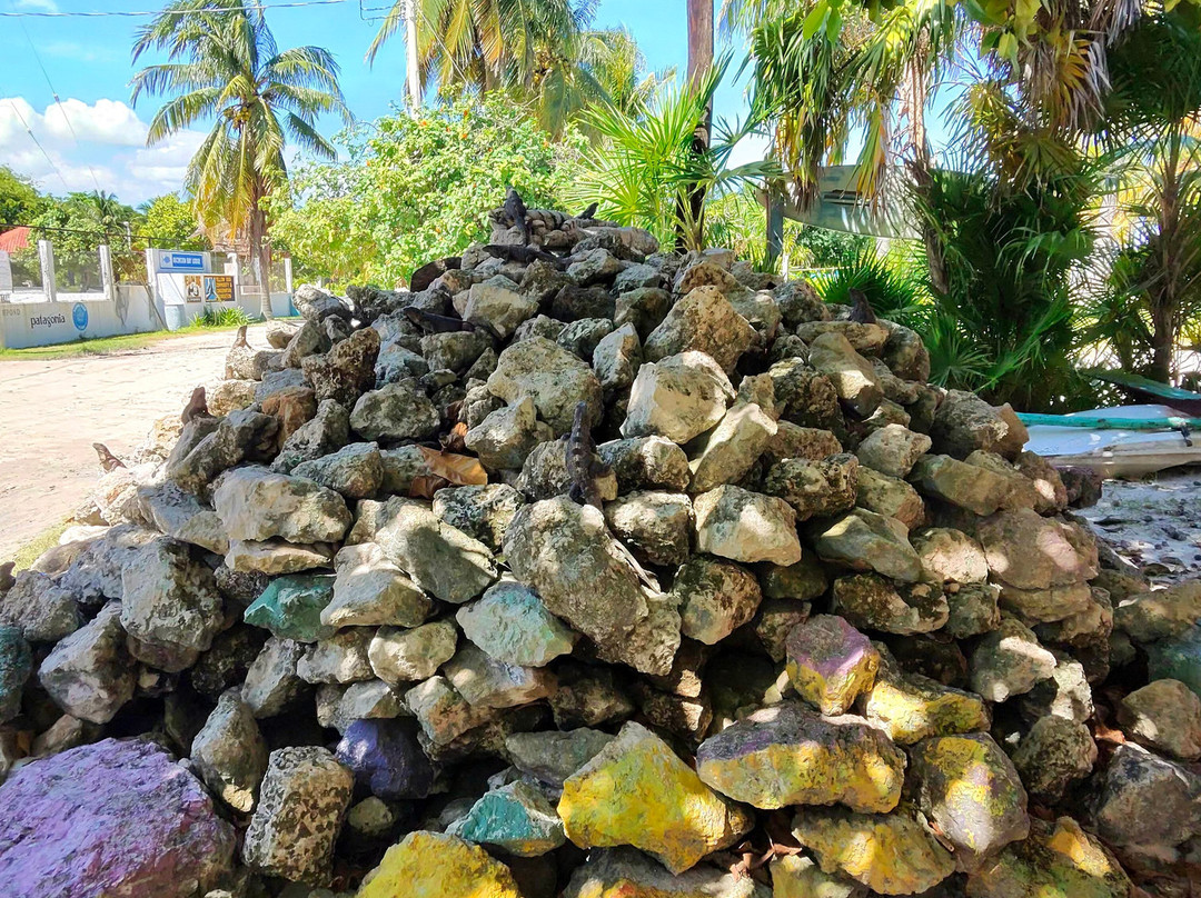 Blue Caribe-艾库玛尔必去景点