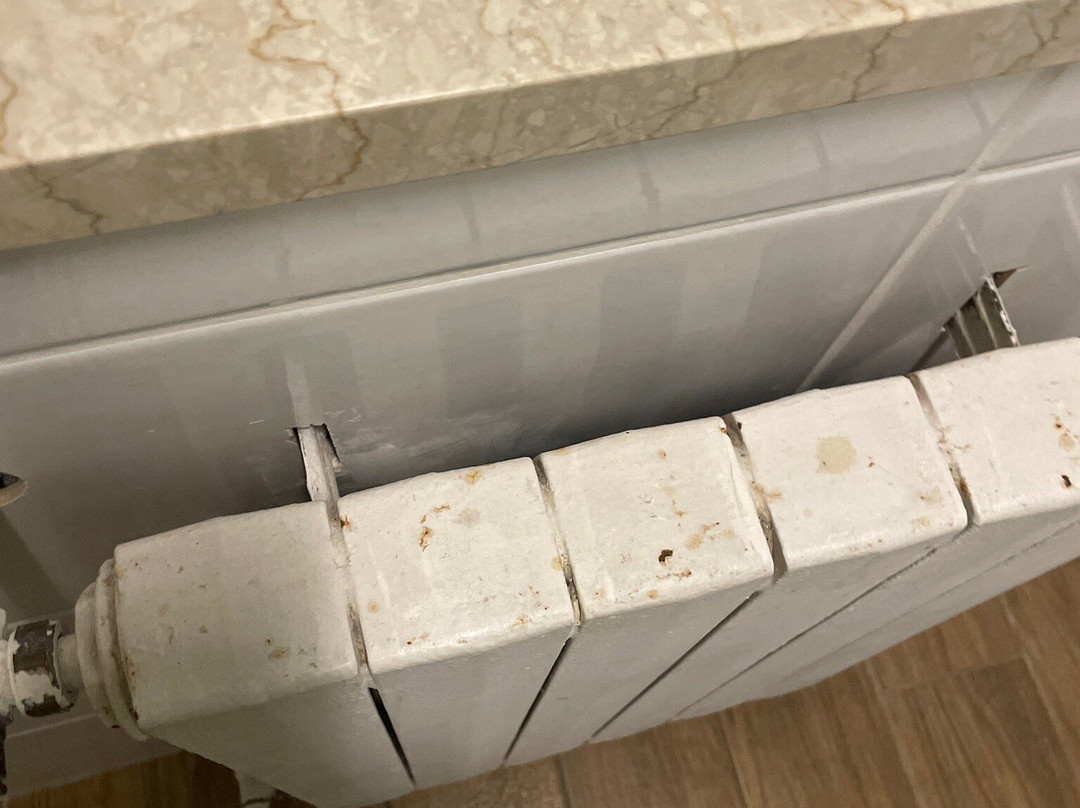 Hotel San Pietro Beach主图