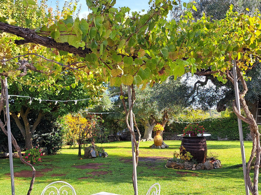 伊尔帕明托度假酒店主图