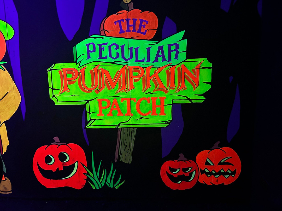 Pumpkin Time @ Sunnyfields Farm-Totton必去景点