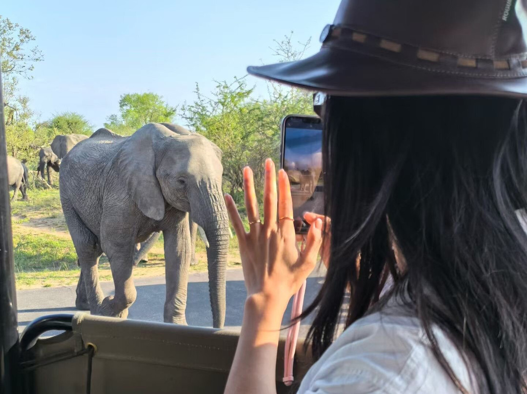 Bafazi Safari and Tours-霍德斯普鲁特必去景点