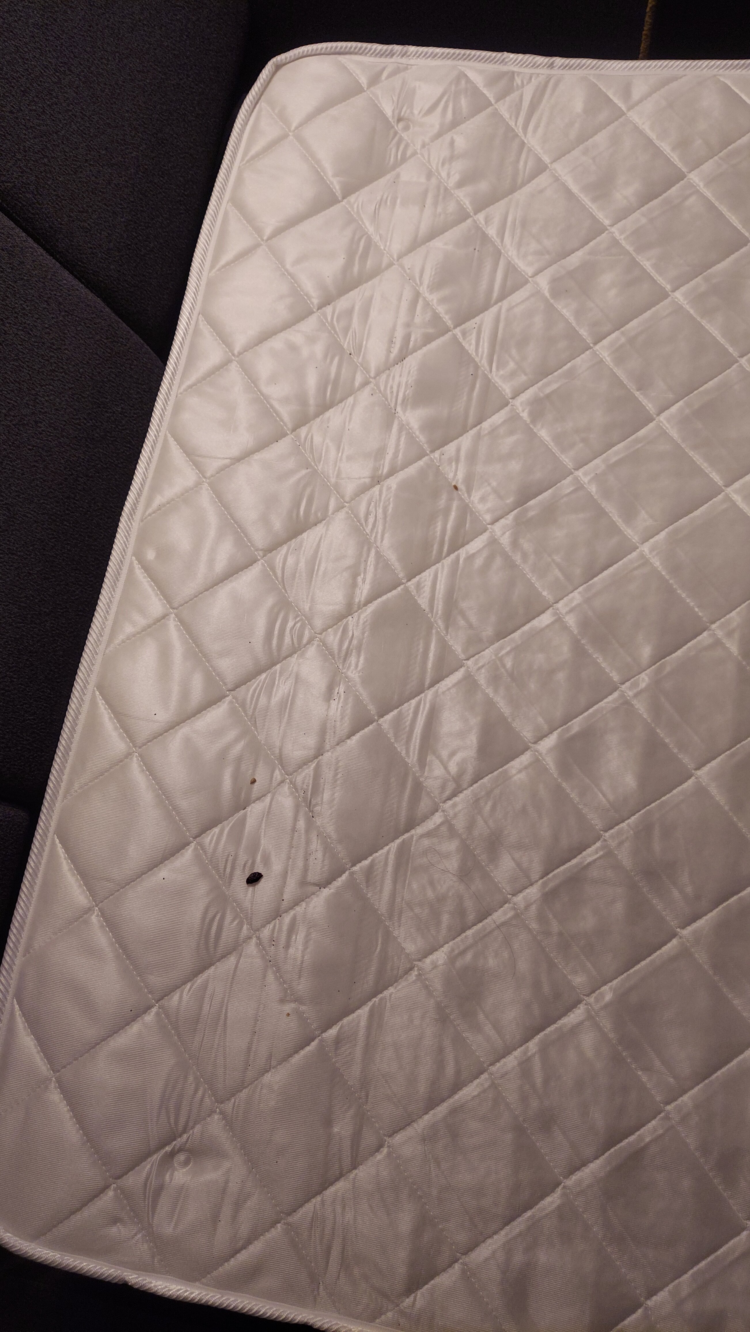 Best Western Plus Elgin - Chicago-官方