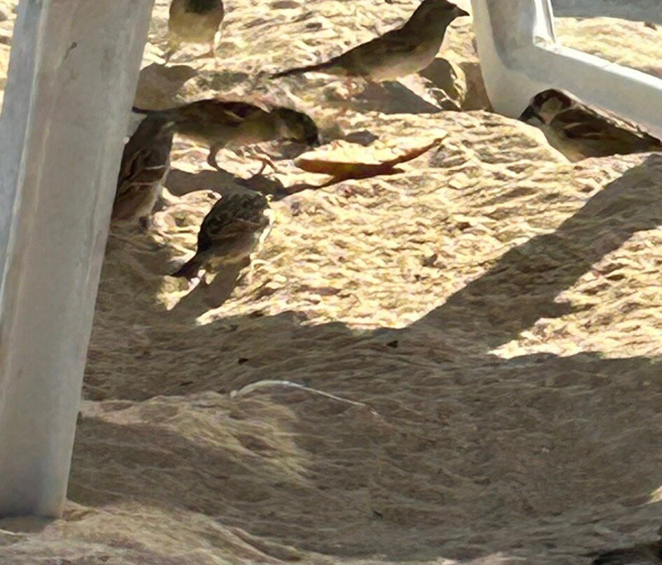 Glyki Nero Beach-阿依纳帕必去景点