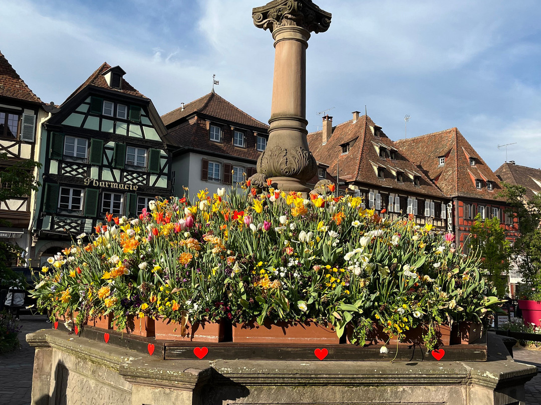 La Fontaine Sainte-Odile-奥贝奈必去景点